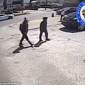 سرقت ساعت ۳۰۰میلیونی یک دندانپزشک با قیچی!