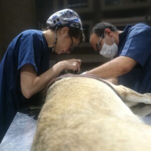 گفتگو با دکتر علی‌رضا ایمانی که هم دندان‌پزشک انسان‌هاست و هم حیوانات