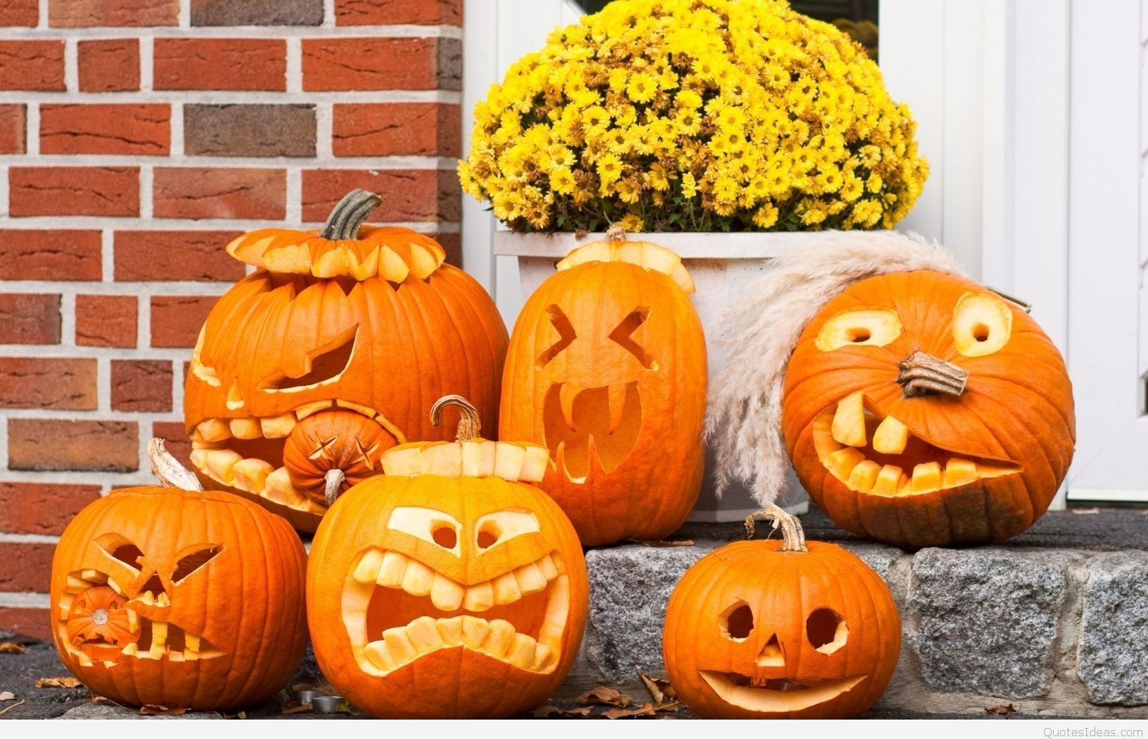 استقبال اورژانسهای دندانپزشکی از جشن اشباح