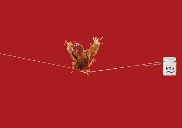 ذره غذایی از میان دندانها تا روی مخ آدمها!