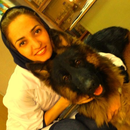 ارتودنسی و ایمپلنت در دهان حیوانات! /ناشنیدههایی درباره دندانها و سلامت دهان حیوانات خانگی