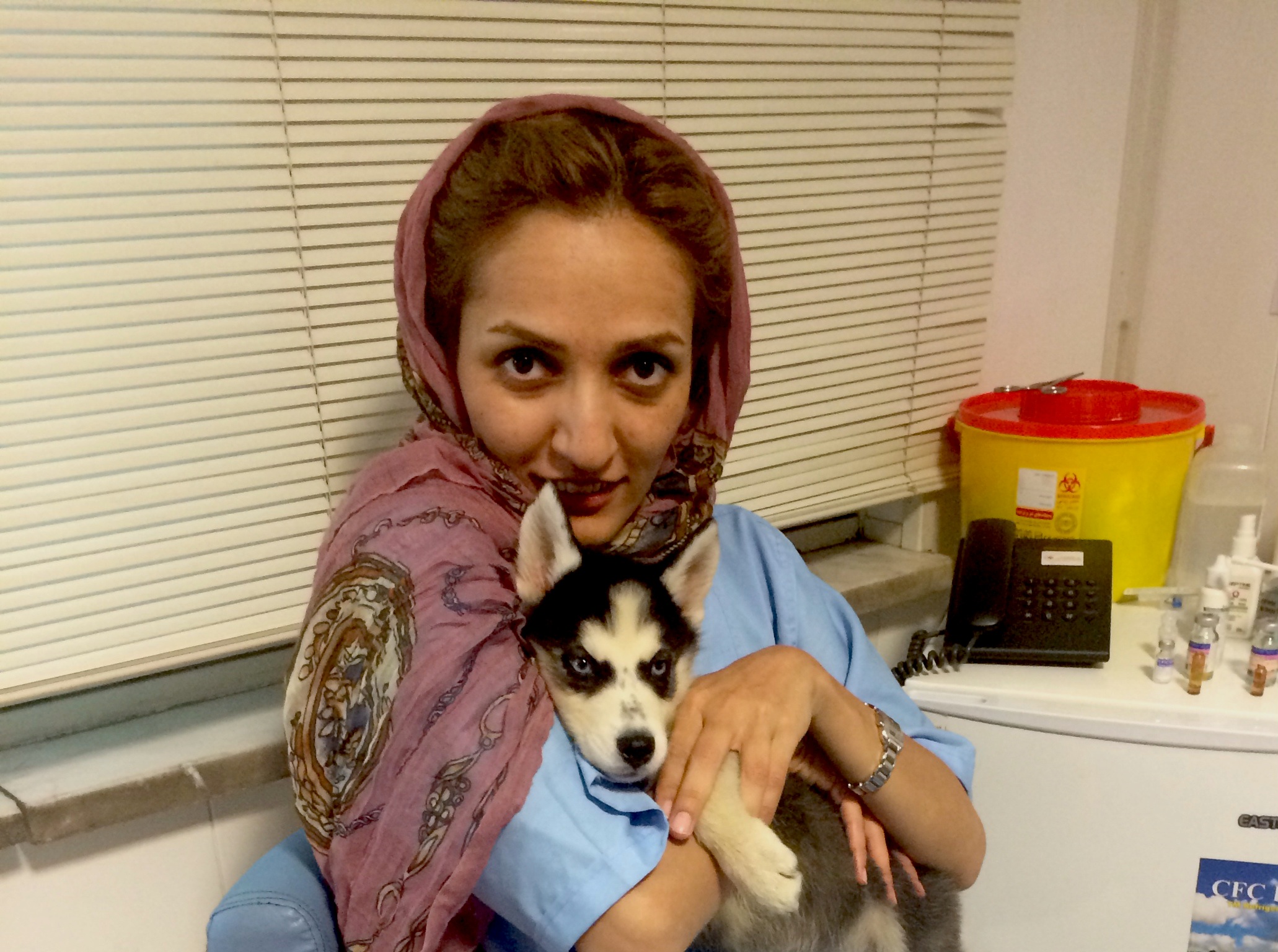 ارتودنسی و ایمپلنت در دهان حیوانات! /ناشنیدههایی درباره دندانها و سلامت دهان حیوانات خانگی