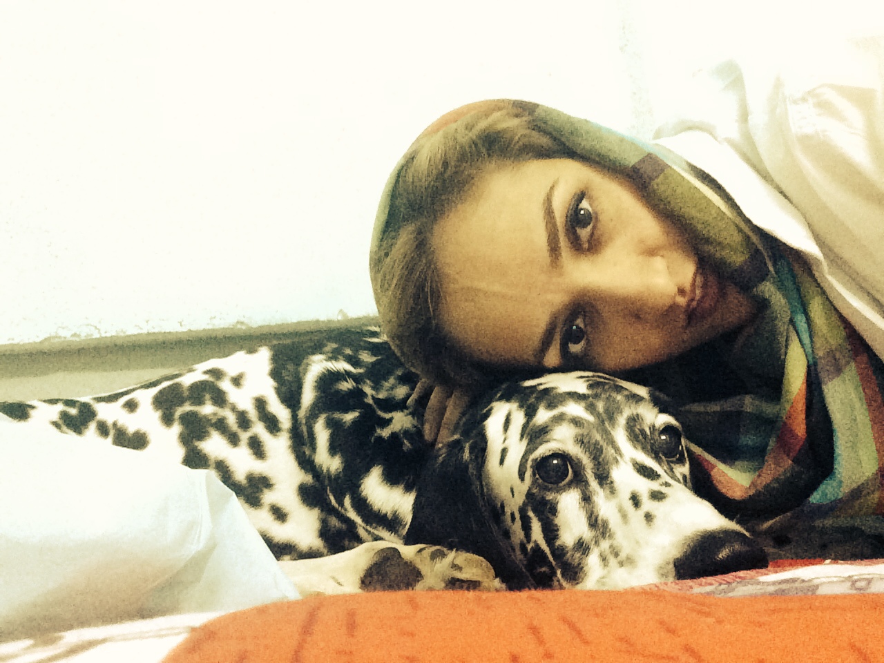 ارتودنسی و ایمپلنت در دهان حیوانات! /ناشنیدههایی درباره دندانها و سلامت دهان حیوانات خانگی